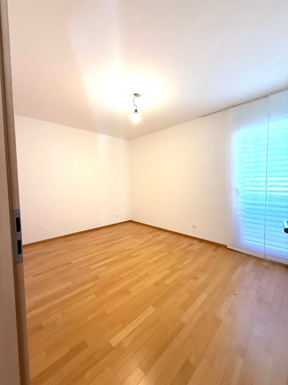 Moderna villa a pochi minuti da Lugano 8