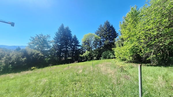 Terreno edificabile di 5'639 m² in posizione Soleggiata, Residenziale. 6