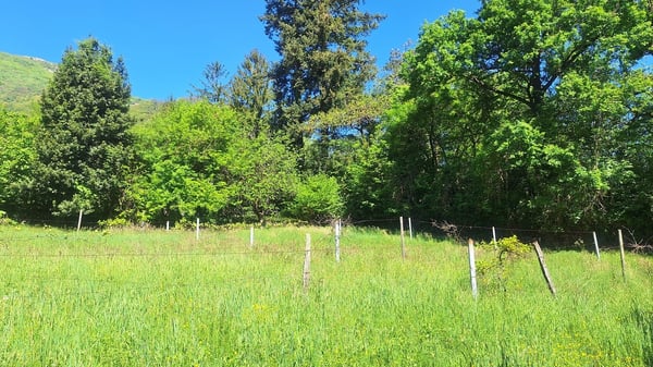 Terreno edificabile di 5'639 m² in posizione Soleggiata, Residenziale. 4