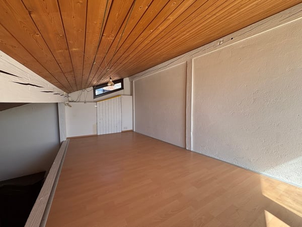 Casa di 3 appartamenti da ristrutturare, giardino con pergola, rustico e bosco 11