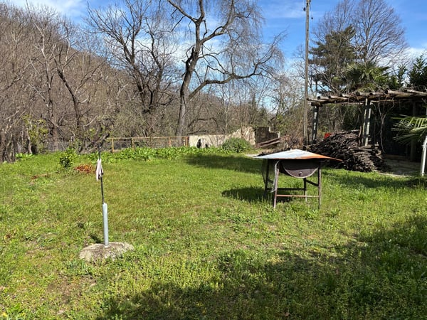 Casa di 3 appartamenti da ristrutturare, giardino con pergola, rustico e bosco 4