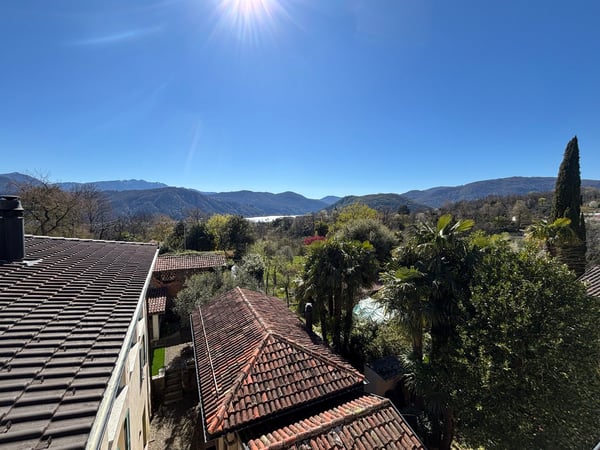 Casa di 3 appartamenti da ristrutturare, giardino con pergola, rustico e bosco 13