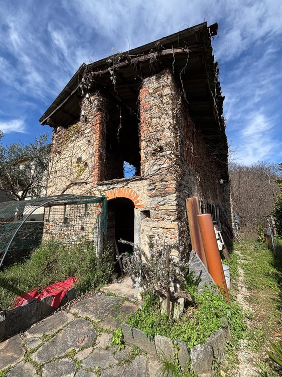 Casa di 3 appartamenti da ristrutturare, giardino con pergola, rustico e bosco 5