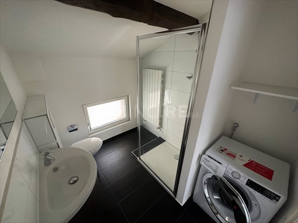 CONFORTEVOLE BILOCALE A LUGANO 6