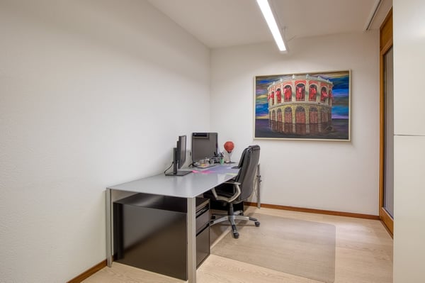 Elegante ufficio/appartamento di 4.5 locali con terrazza a due passi dal parco Ciani 10
