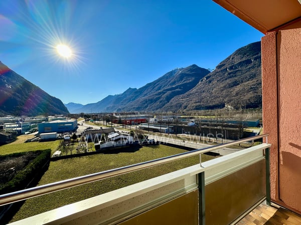 BIASCA: LUMINOSO E FUNZIONALE 1.5 LOCALI 3