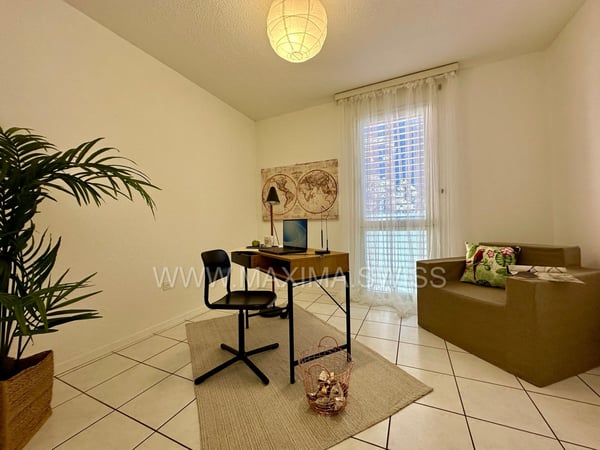 BIASCA: LUMINOSO E FUNZIONALE 1.5 LOCALI 8