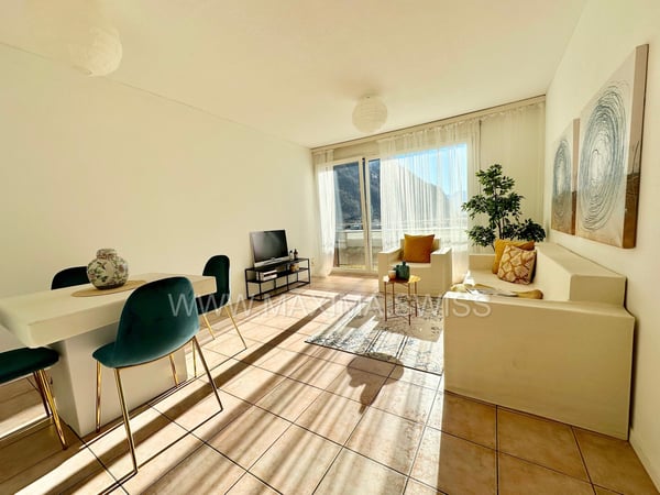 BIASCA: LUMINOSO E FUNZIONALE 1.5 LOCALI 9