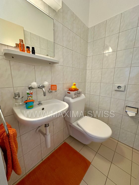 BIASCA: LUMINOSO E FUNZIONALE 1.5 LOCALI 4