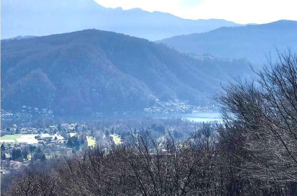 Bellissima villa 7.5 locali vista lago nel verde 2