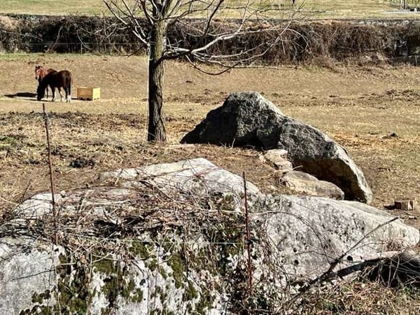 Interessante terreno edificabile pianeggiante 5