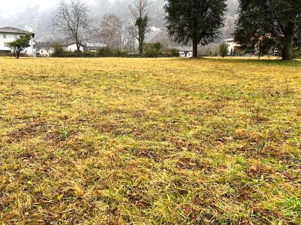 Terreno edificabile pianeggiante 1