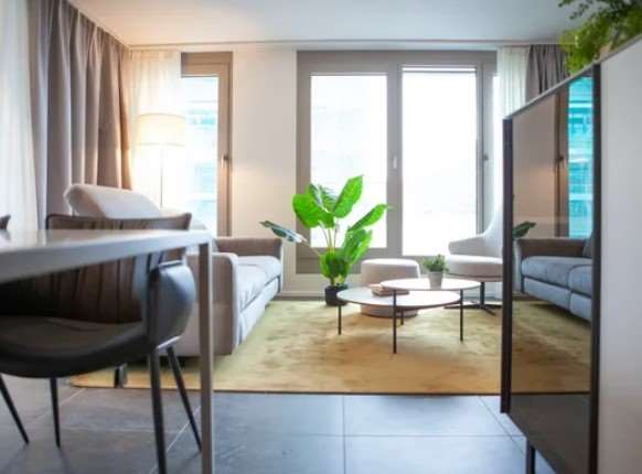 Appartamenti a Paradiso completamente arredati 7