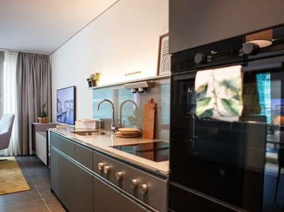 Appartamenti a Paradiso completamente arredati 9