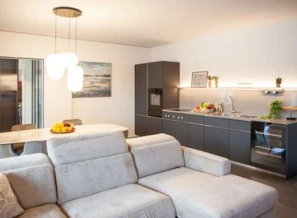 Appartamenti a Paradiso completamente arredati 8