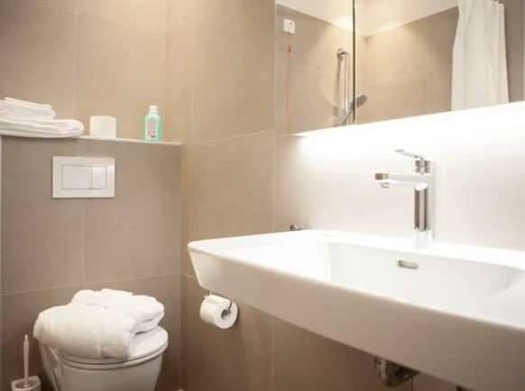 Appartamenti a Paradiso completamente arredati 12