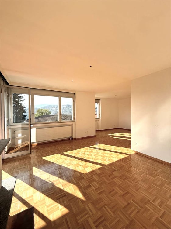 Appartamento 1.5 a Pregassona con vista aperta 4