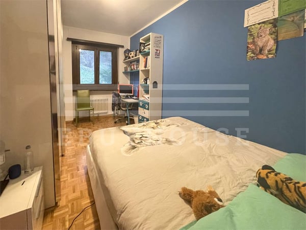 ESCLUSIVIT A LUGANO IL SOGNO SUL LAGO 9