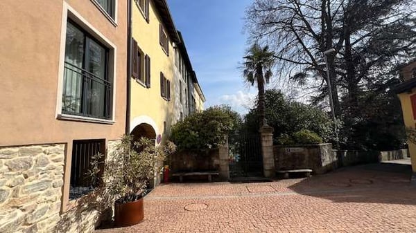 Collina d'Oro