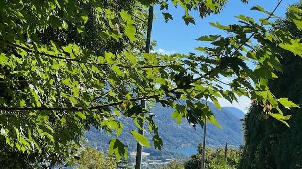 Bosco Luganese terreno edificabile vista lago 6