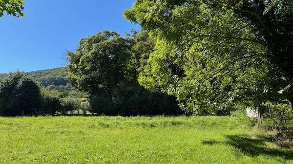 Bosco Luganese terreno edificabile vista lago 2