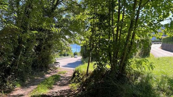 Bosco Luganese terreno edificabile vista lago 3