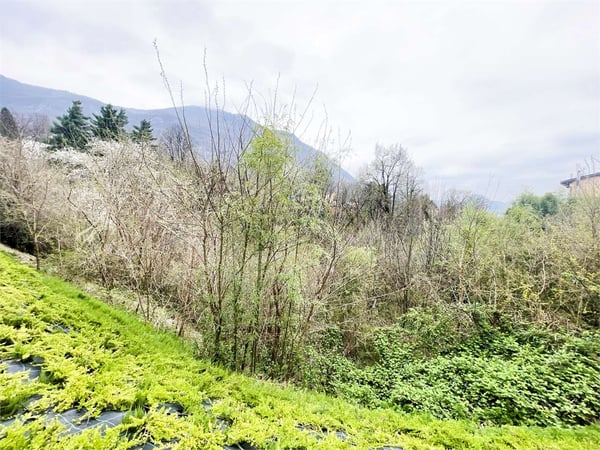 Vivi la Natura. La tua casa con Giardino privato 10
