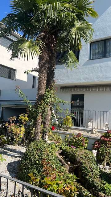 Ufficio di prestigio con giardino e terrazza in elegante residenza ad 7