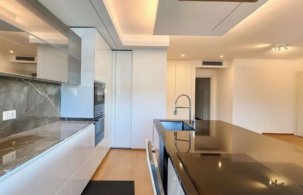 Attico esclusivo con roof top a Lugano Pregassona 3