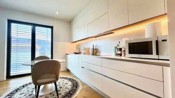 Elegante Appartamento 1.5 Locali in Affitto a Massagno 1