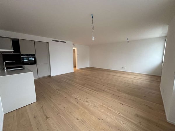 Paradiso appartamento 2,5 locali ristrutturato vista lago 1