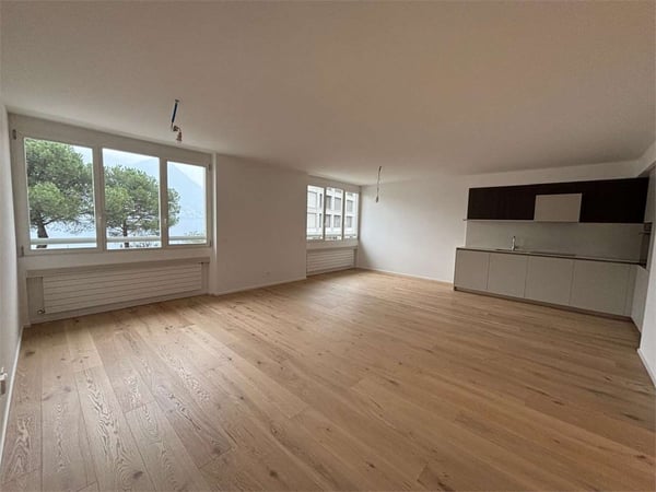 Paradiso appartamento 2,5 locali ristrutturato vista lago 2