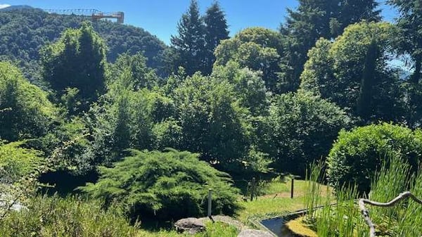 Terreno edificabile in zona residenziale esclusiva 1