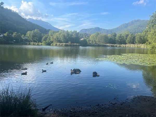 Casa di charme con giardino e potenziale piscina 1