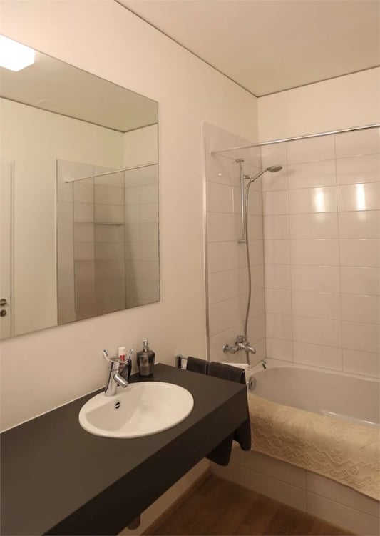 In affitto a Lugano centro, loft ammobiliato con veranda 5