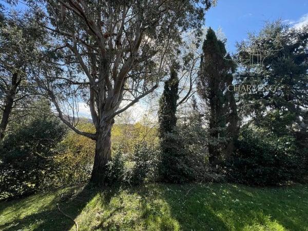 Villa con Ampio Terreno Edificabile nel Cuore di Ponte Capriasca 8