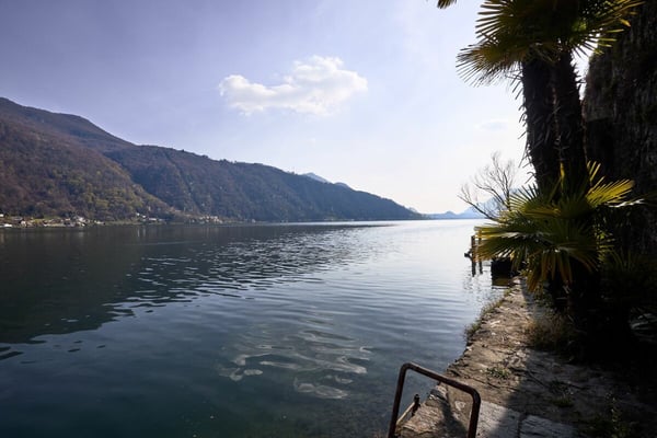 Villa Fronte Lago con Darsena Privata a Morcote 18