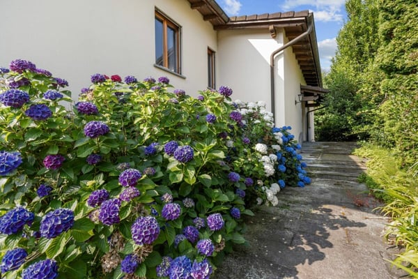 Villa indipendente con ampio Giardino privato 7