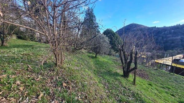 Curio: terreno edificabile in zona panoramica 1