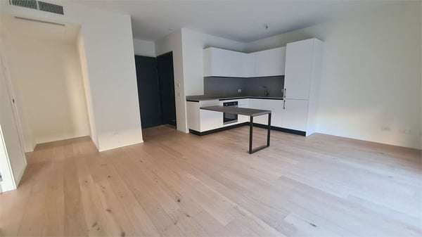 CHIASSO: NUOVO ELEGANTE 1.5 LOC CON AMPIO GIARDINO 3