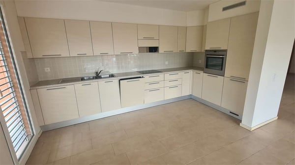 CHIASSO: spazioso attico 1.5 loc. panoramico 10