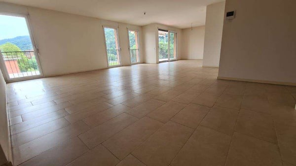 CHIASSO: spazioso attico 1.5 loc. panoramico 9