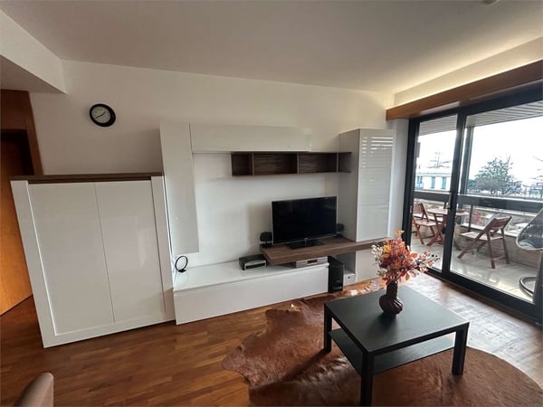 Lugano Cassarate: 2.5 loc. ristrutturato con vista lago 2