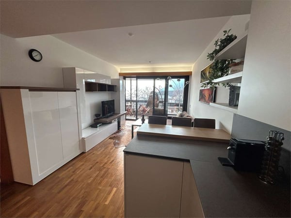 Lugano Cassarate: 2.5 loc. ristrutturato con vista lago 1