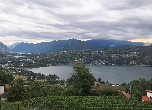Spazioso 3,5 locali con vista lago 12