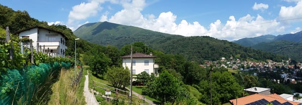 Sala Capriasca - Terreno mapp. 558+559 (sez. Sala-Bigorio) 3