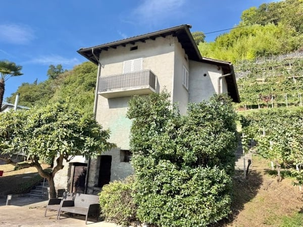 VENDESI A LAVERTEZZO - Terreno edificabile con vista sul piano di Magadino e il Lago Maggiore 2