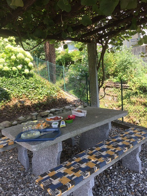 VENDESI A CUGNASCO - Bella casa unifamiliare di 1.5 locali in buonissimo stato 13