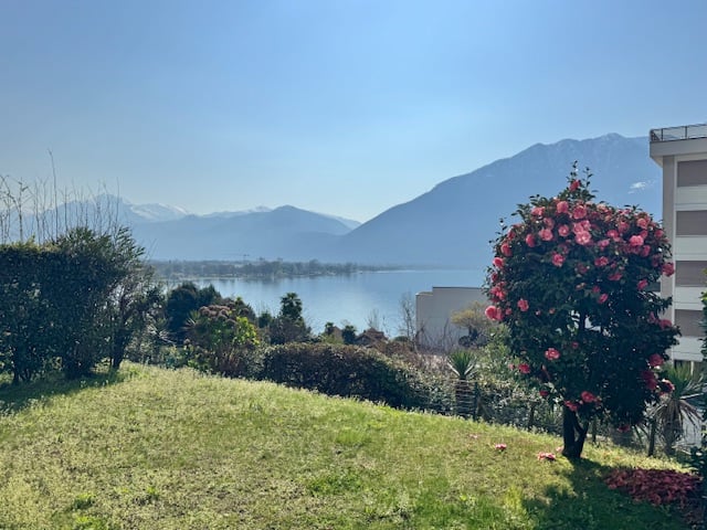 A garden with a view of a lake and mountains in the distance