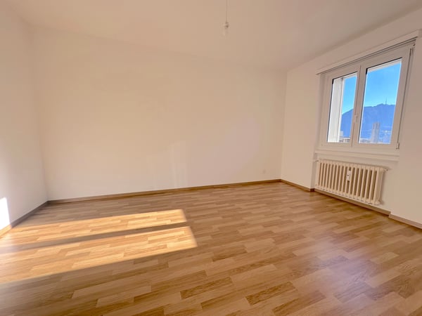 STABILE RINNOVATO, 1.5 LOCALI, LIBERO SUBITO 5